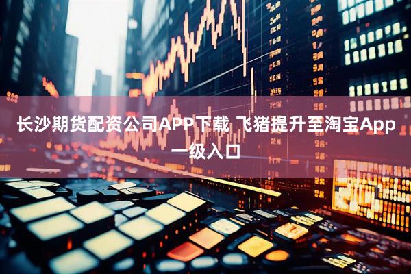 长沙期货配资公司APP下载 飞猪提升至淘宝App一级入口